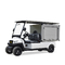 High Quality Good Price Mini Buggy Golf Car with Aluminum Cargo Box for Sale