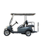 Chinese Factory Direct Supply 2+2 Passengers Brand New Design Golf Hunting Car