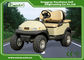 205 / 50-10 Tyre Electric Utility Carts With Italy Graziano Axle