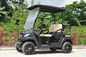 Convenient Electric Golf Buggy Italy Graziano Axle 12/1 Trojan Battery
