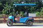 Fuel Type Electric Golf Vehicle  / 2 Seater Golf Buggy 1 Year Warranty